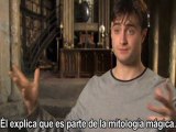 'Harry Potter y las reliquias de la Muerte: Parte 2' - Where we Left Off