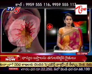 Health File - Suggestions On Health - 01