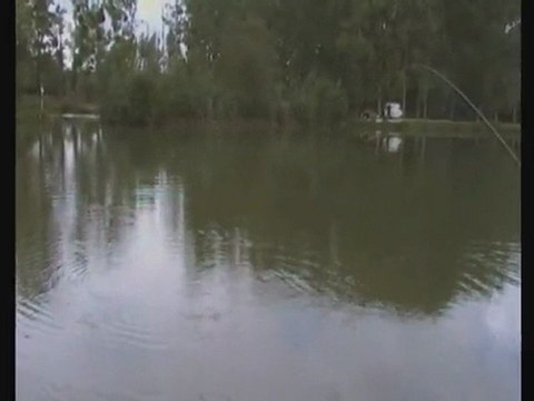 Combat d'une carpe miroir de 6 kg