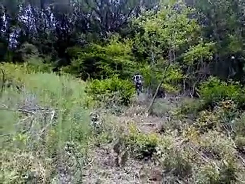 MOV00477