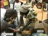 Niari : lancement de la campagne de vaccination du cheptel avicole villageois