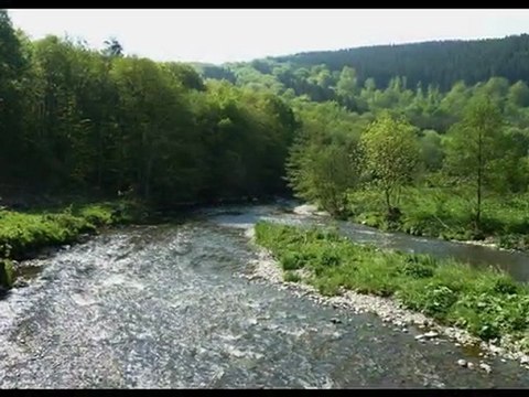 année 2011 - mois de mai - nº 24