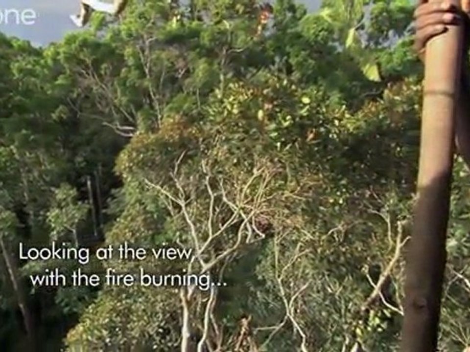 Real-Life Avatar- Treehouse In The Jungle, Where A Family Lives Content _ Happy With What They Have