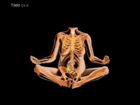 Los Pensamientos y las Emociones nos Transforman