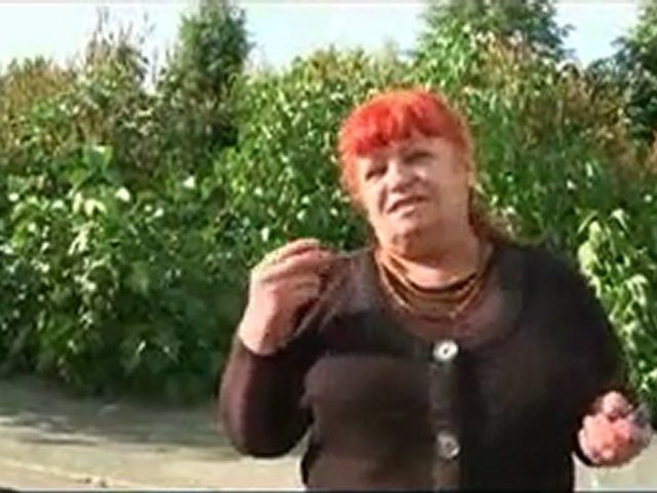 SAMMIT INWeb24