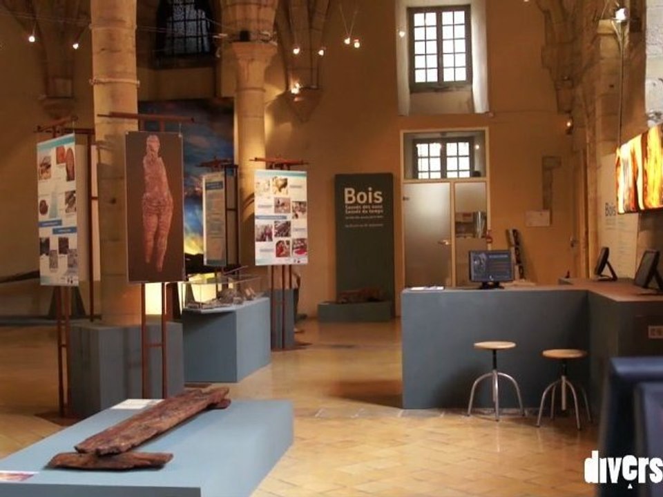 Bois, sauvés des eaux sauvés du temps, Musée archéologique de Dijon, jusqu'au 26 septembre 2011