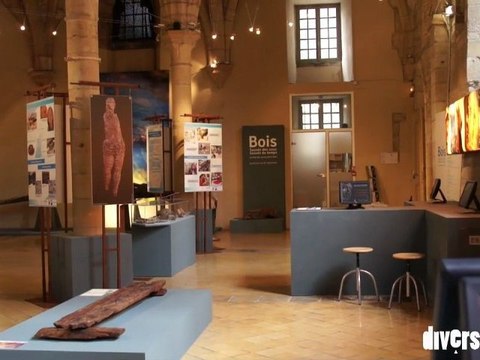 Bois, sauvés des eaux sauvés du temps, Musée archéologique de Dijon, jusqu'au 26 septembre 2011