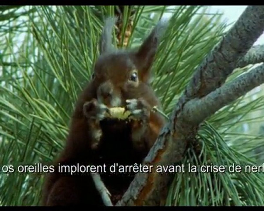 musique