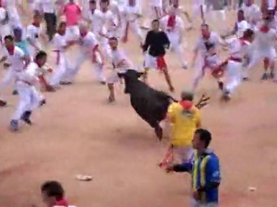Streaker Owned By Bull 