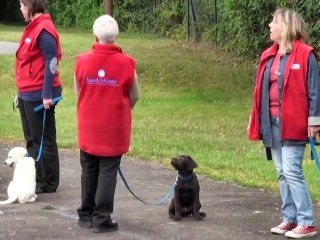 Premier cours du 9_07_2011