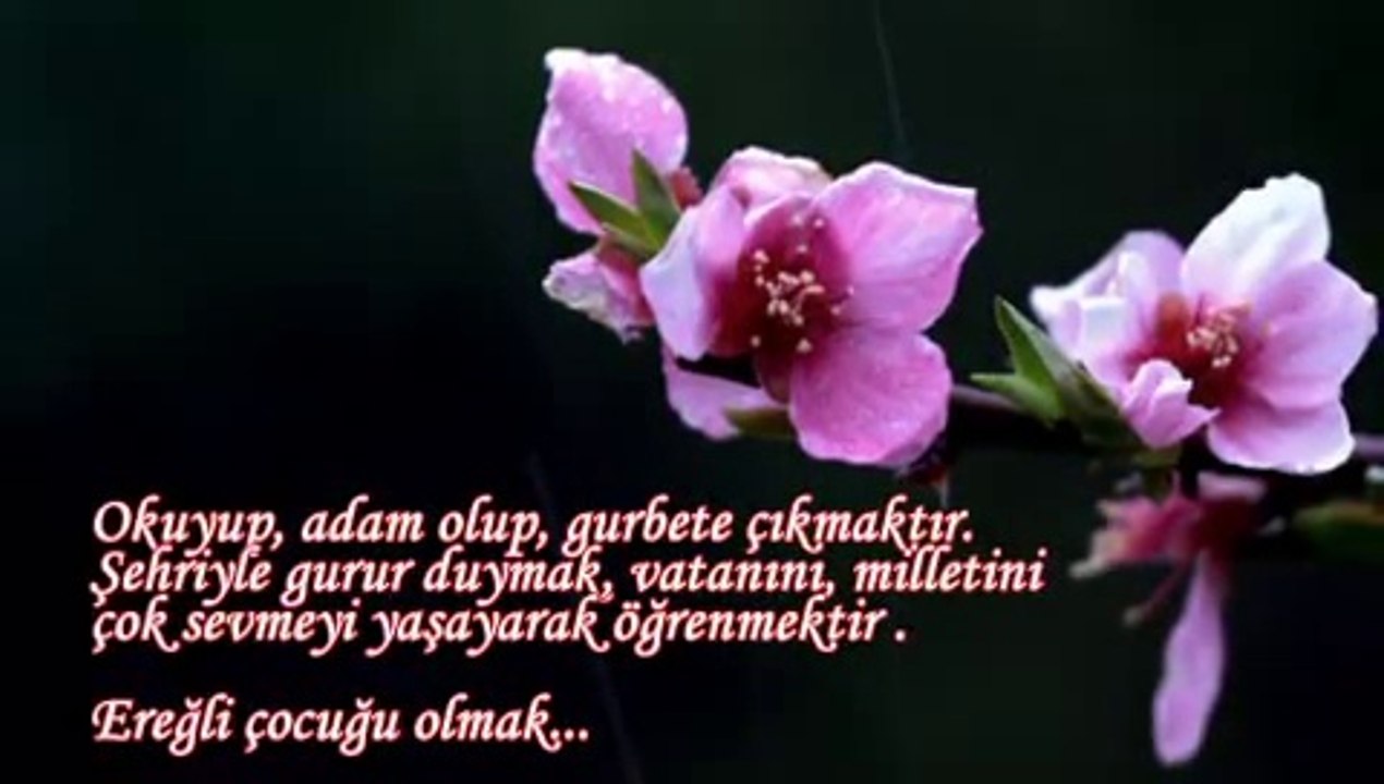 EREĞLİ NOSTALJİLERİ-GELEKMEZ BAĞLARINDA ÇOCUK OLMAK