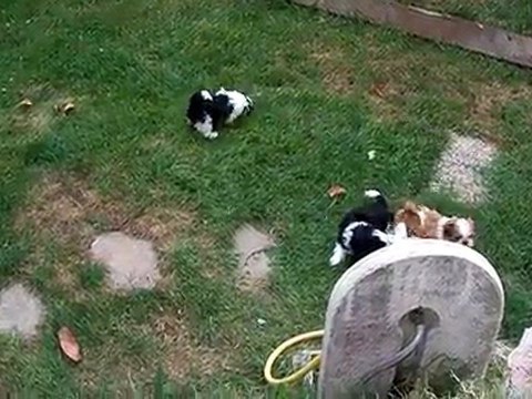 toujours les jeux extérieurs