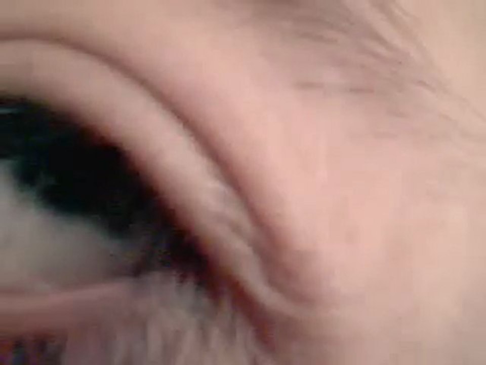 webcam_1310556151532