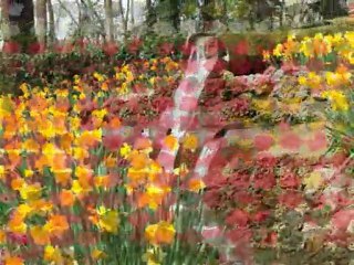 BİR DEVRE ADINI VEREN ÇİÇEK; LALE