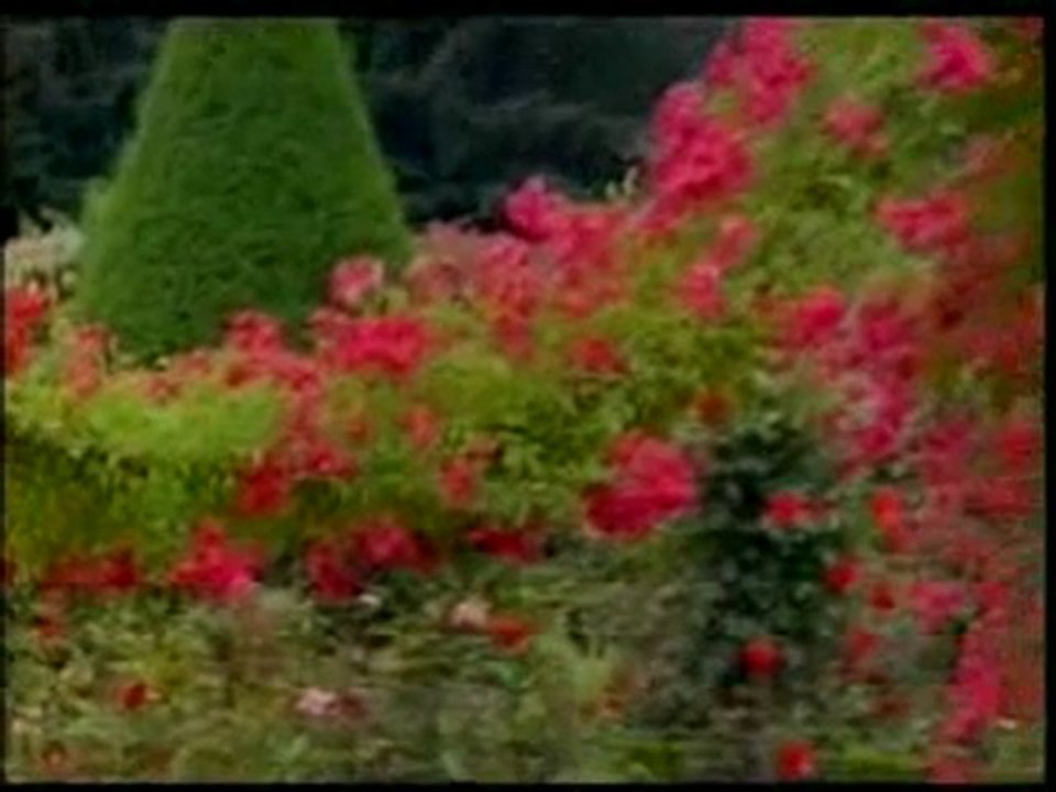 Peygamberimiz (sav)'in ince düşünceli ve nazik olması Peygamberimiz (sav)'in ince düşünceli ve nazik olması