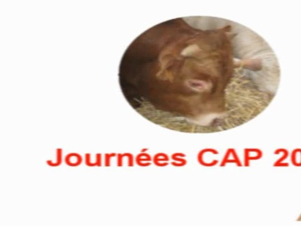 CAP 200