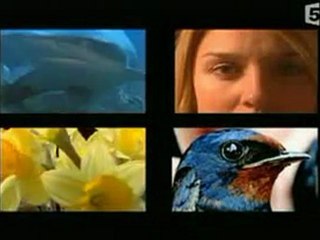 superscience (la theorie de darwin) évolutionnisme vs créationnisme (partie 1sur3)