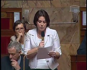 Question au Gouvernement - 13 juillet 2011