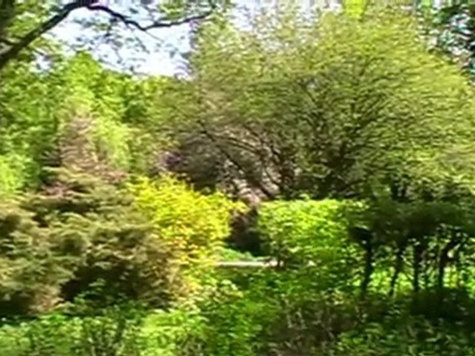 Nachtigall Serenade-Andre Rieu