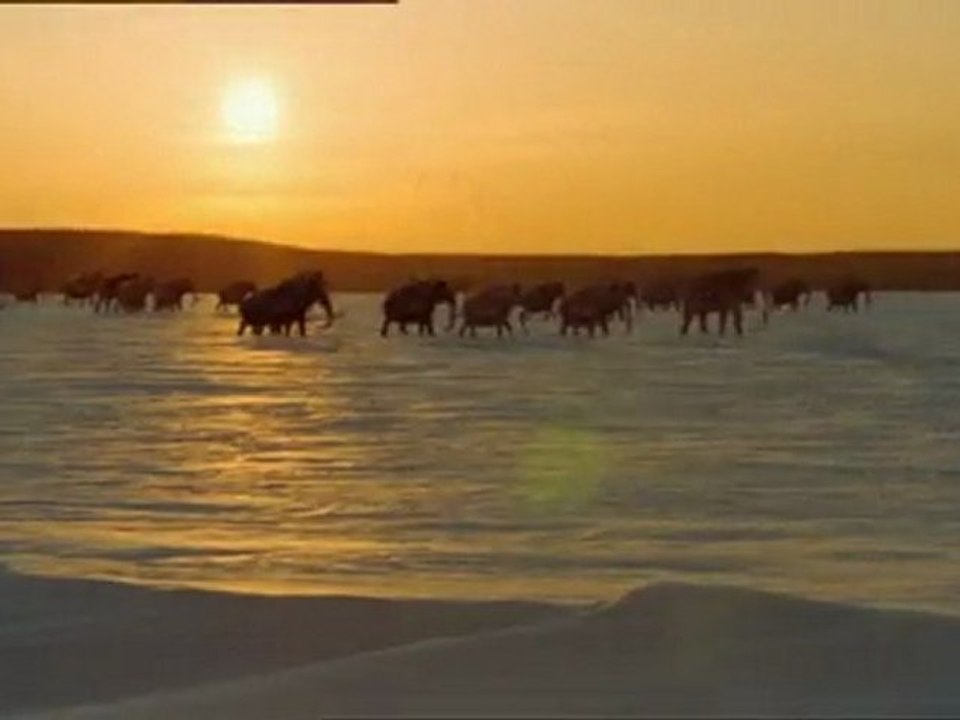 Die Erben der Saurier E06 Ein Mammut Unternehmen