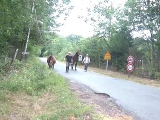 13.07.2011. 4 ème sortie pour Tliloa, accompagnée de Ténébra