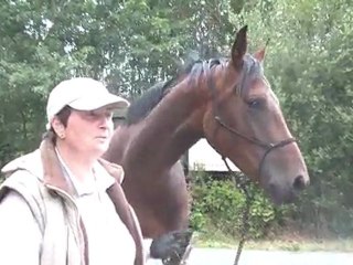 13.07.2011. 4 ème sortie pour Tliloa, accompagnée de Ténébra