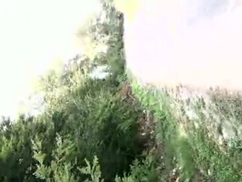 HAZER EMLAK TEL: 0546 851 6657 KAYNARCADA SATILIK TARLA