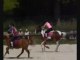 Miniature DailyMotion