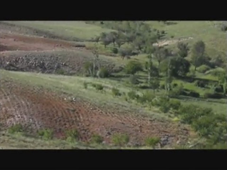 SİVAS KANGAL ETYEMEZ KÖYÜ YENİ KÖY & KORU 2011