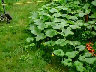 Orage 13/07/2011 vers 13 h 00