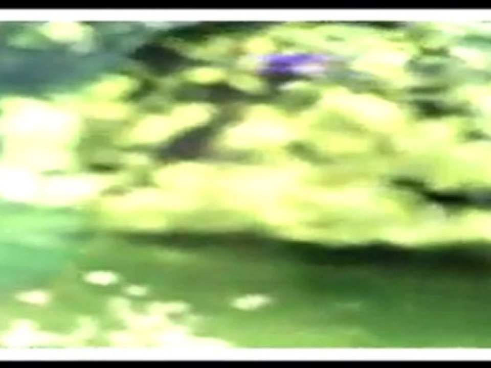 Lolita - Joli Garcon  Remix_V1