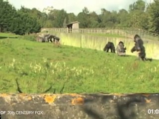 Восстание планеты обезьян (Rise of the Planet of the Apes)  - вирусный ролик 3