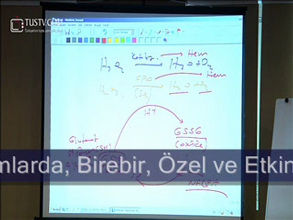 Tustv Kamp Görüntüleri Slayt