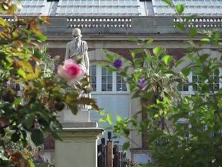 OMA OUTRE-MER ART CONTEMPORAIN - Making of de l'exposition à l'orangerie du Sénat