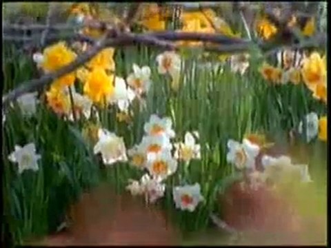 Peygamberimiz Hz. Muhammed (sav)