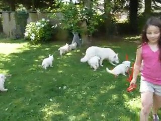 Bébés Daelynn &  Heaven