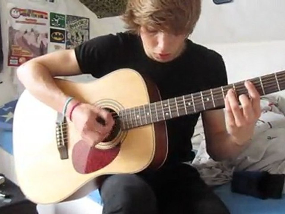 Iggy and the Stooges - I wanna be your dog acoustic cover ( ou pas ? )