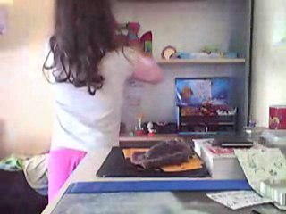 petshop  mais  nouveaux  de  hier