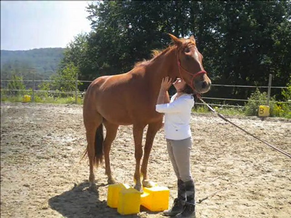 1er séance saut en longe_0001
