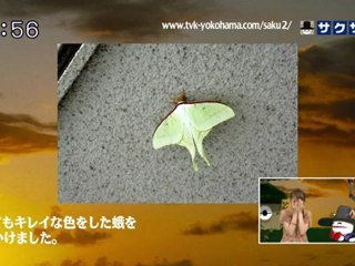 sakusaku 110714 4 カリ米さんの中学の生物の教科書は袋とじ･･･、の巻