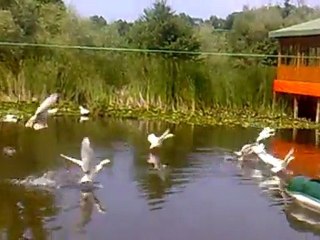 Karasu - Acarlar Gölü doğal güzelikleri