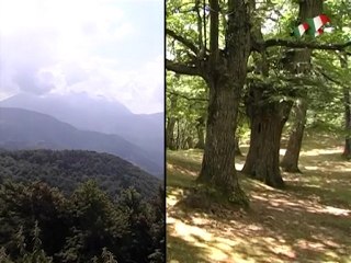 Berceto - speciale 150 anni