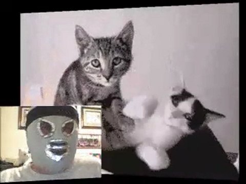 Blog del Narco del lunes 27 de junio de 2011