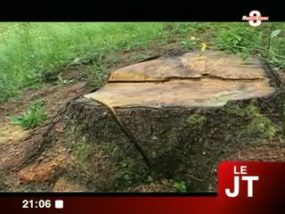 Protection de la réserve des Contamines-Montjoie