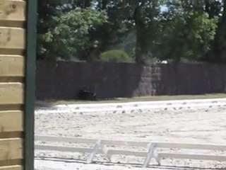 Dressage Ponam CD élite Gd prix