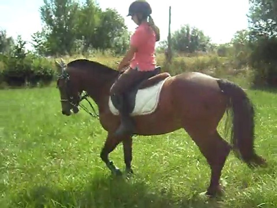 Dressage, Simbad et Gwen , le 14 juillet 2011.   II