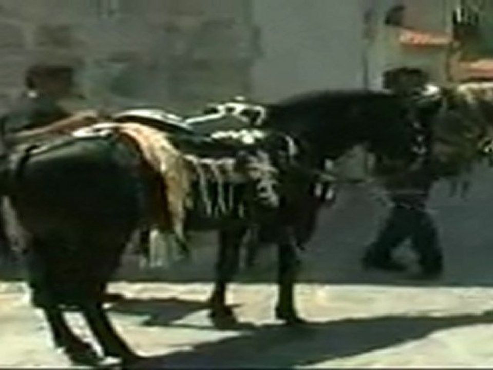 Αγιάσος 20 Ιουλίου 2010  Καλλιστεία Αλόγων