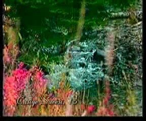 Kuran Meali: Casiye Suresi