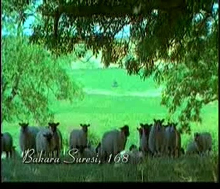 Kuran Meali: Bakara Suresi 163-173