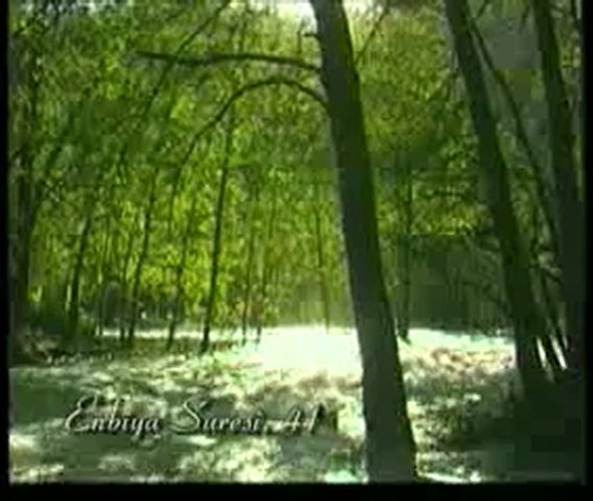 Kuran Meali: Enbiya Suresi 30-50